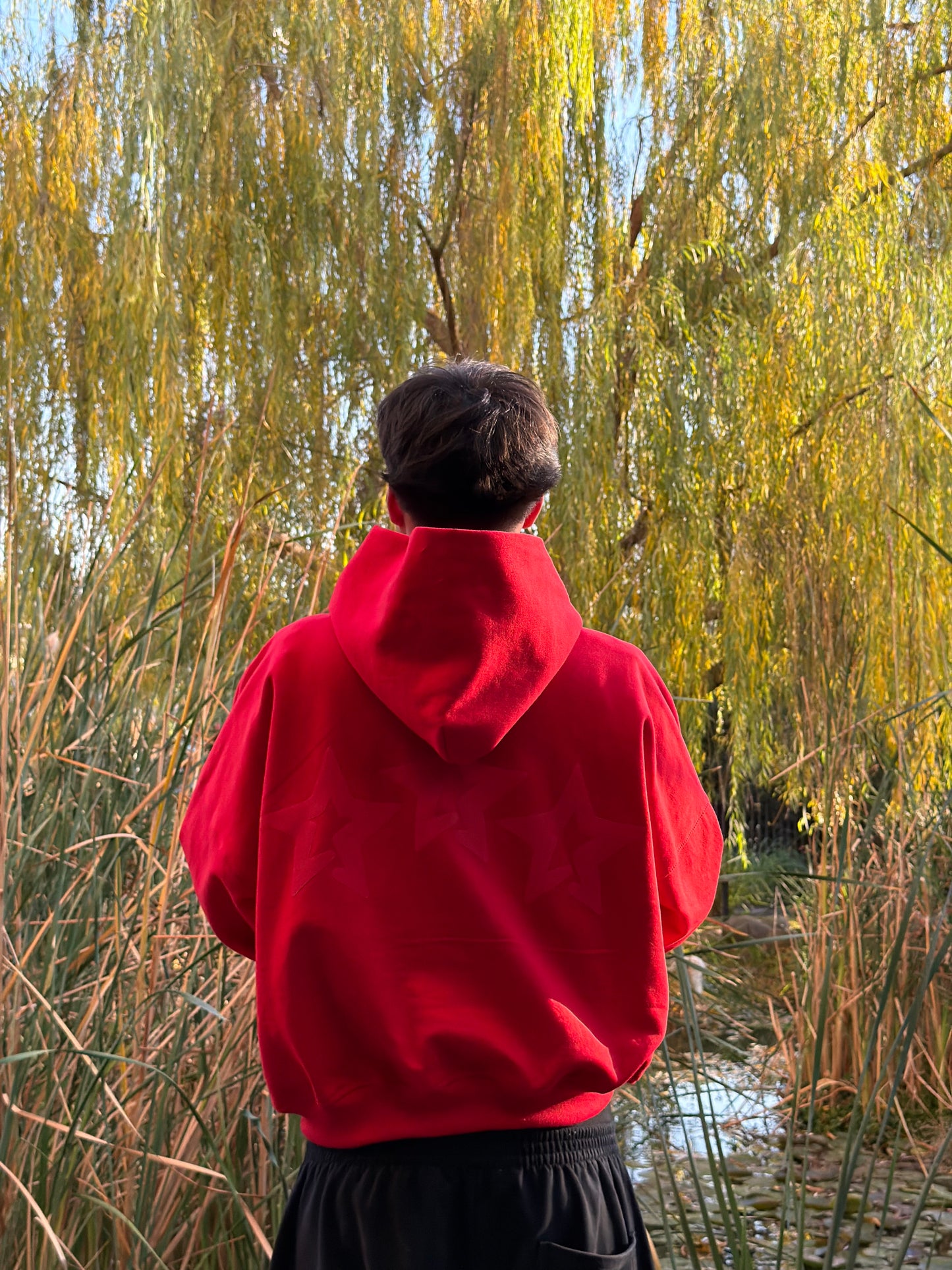 THE LAST ROSE HOODIE